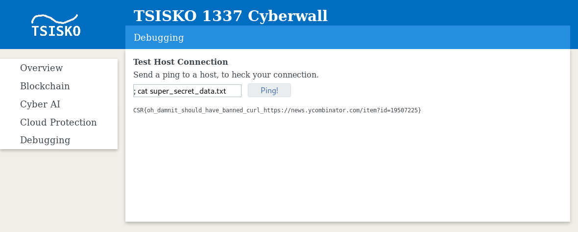 cyberwall-4